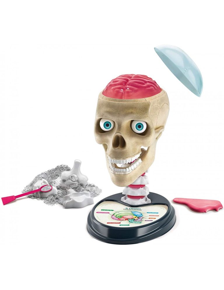 Anatomia Fuori di Testa