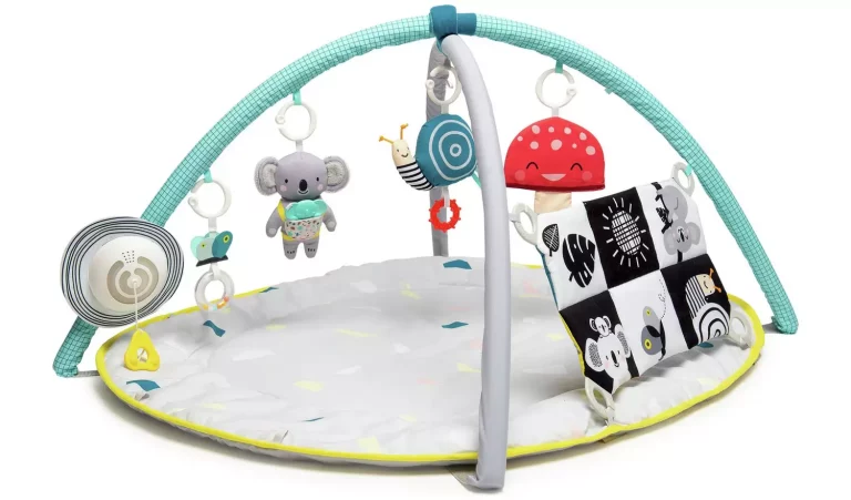 Palestër E Aktiviteteve Me Koala ‘Taf Toys’