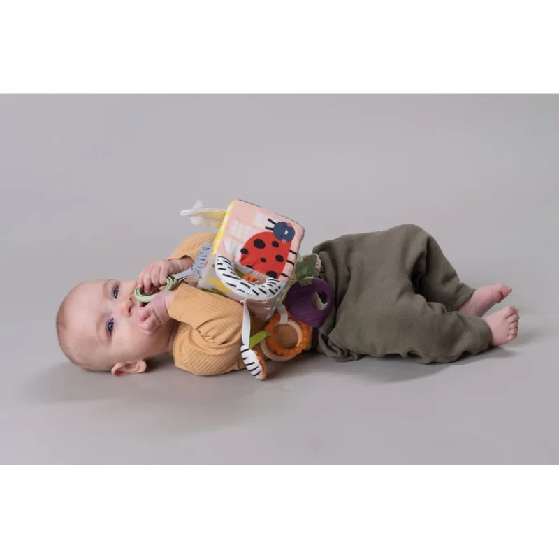 Kubi I Aktiviteteve ‘Taf Toys’ thumbnail 3