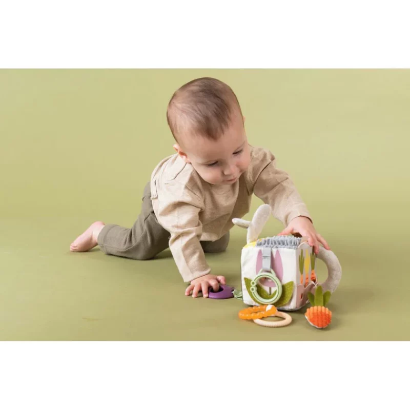 Kubi I Aktiviteteve ‘Taf Toys’ thumbnail 6