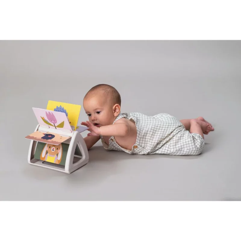 Libër Që Rrotullohen Fletët ‘Taf Toys’ thumbnail 4