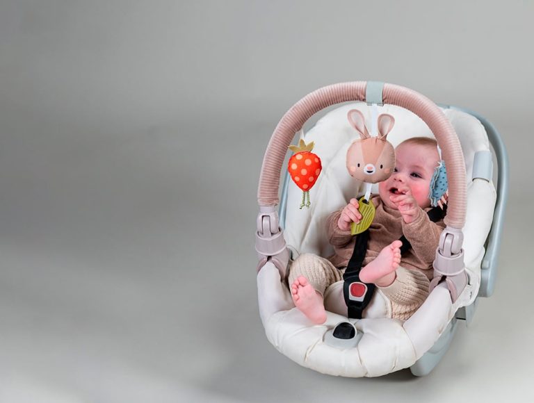 Lodër Karroce Hark Musical Bunny ‘Taf Toys’ thumbnail 2