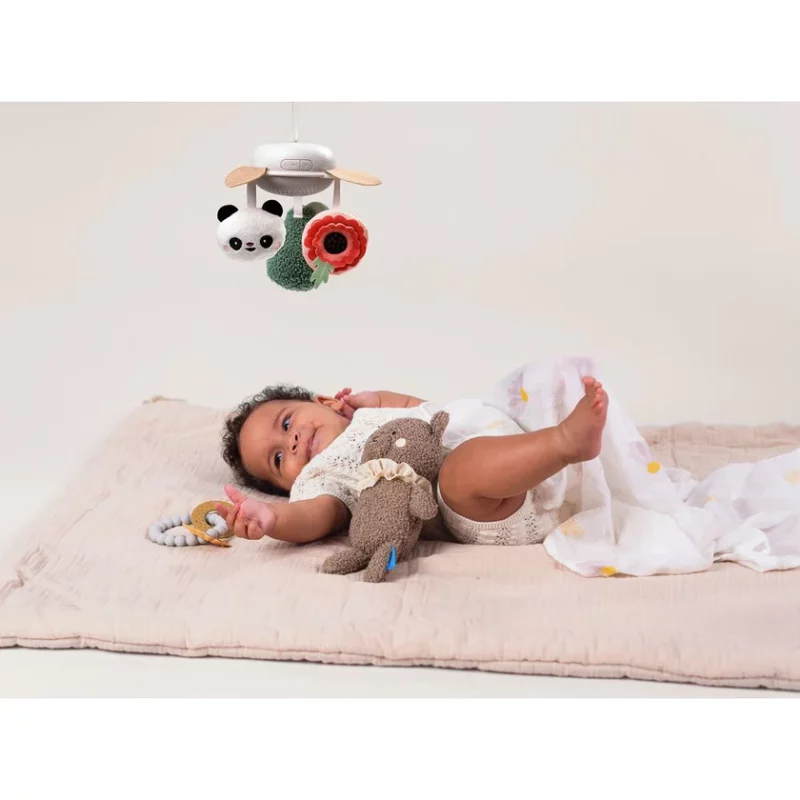 Set Për Bebe Të Porsalindur ‘Taf Toys’ thumbnail 3