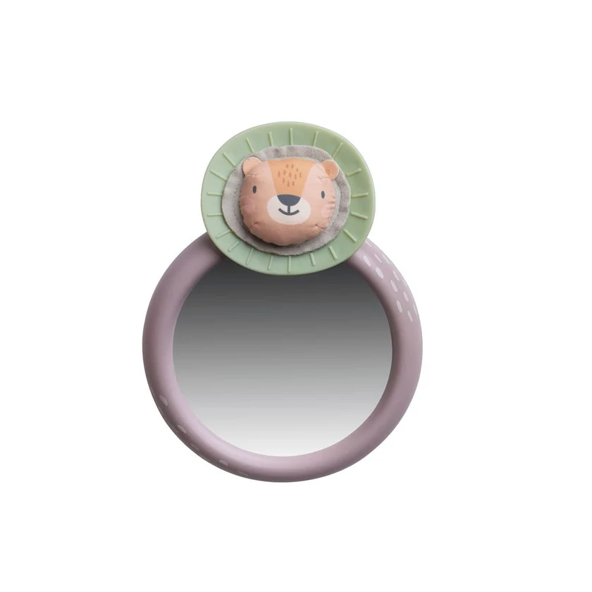 TAF13255SAVANNAHCARMIRROR01