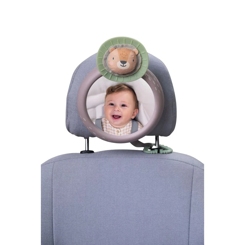 TAF13255SAVANNAHCARMIRROR03