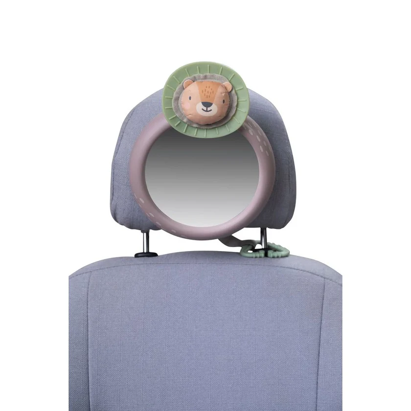 TAF13255SAVANNAHCARMIRROR05