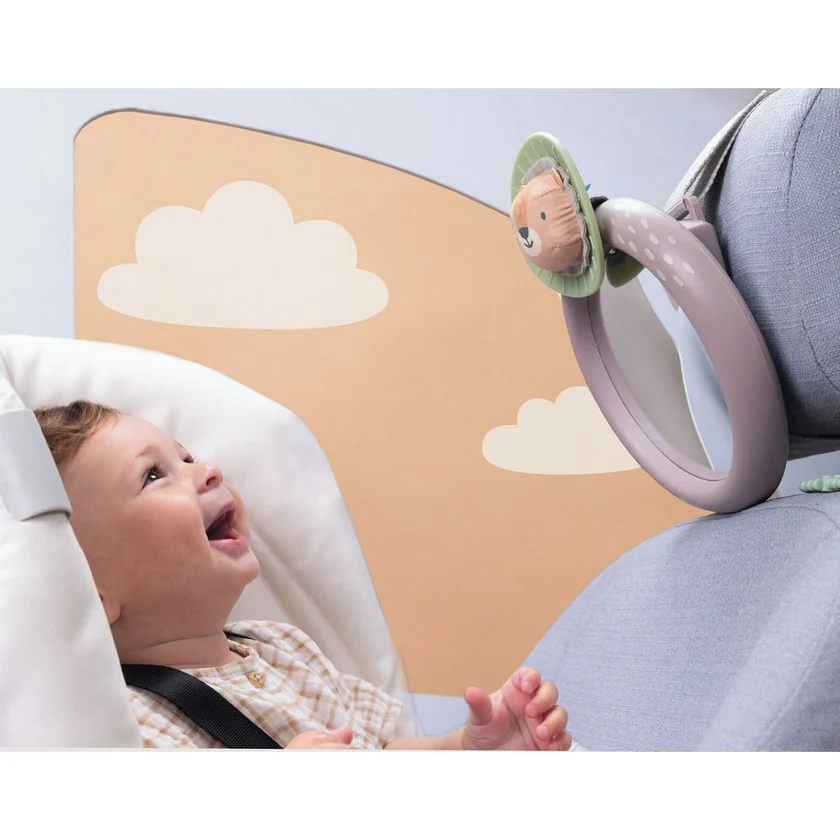 TAF13255SAVANNAHCARMIRROR08 (1)