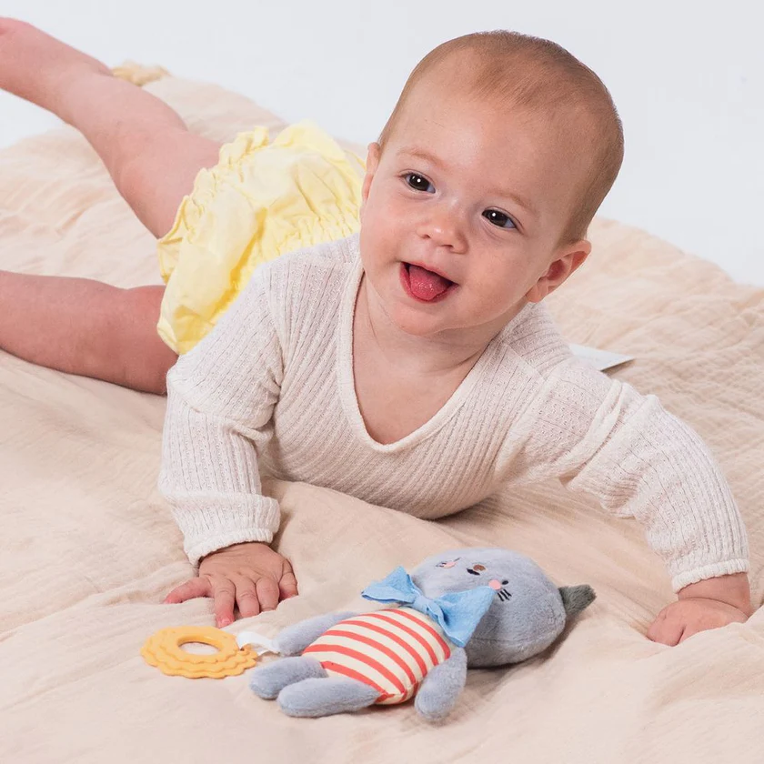 TAF13525CLARACATACTIVITYTOY03