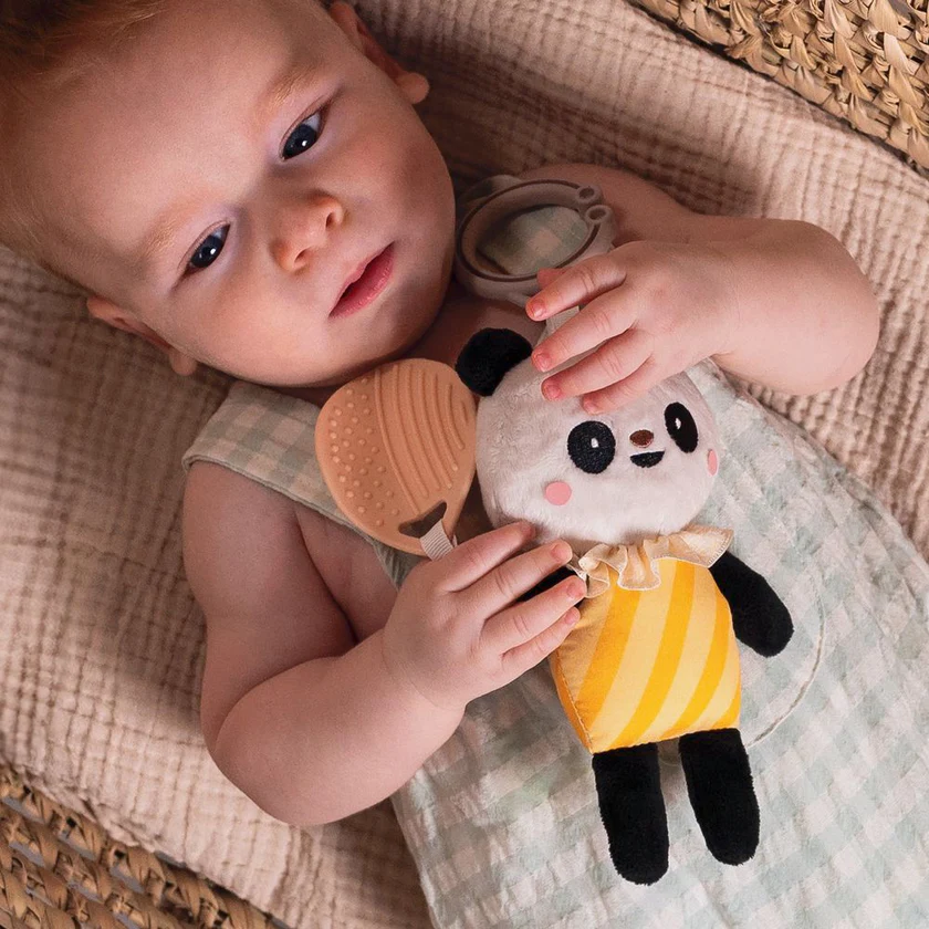 TAF13565PAMELAPANDAACTIVITYTOY02