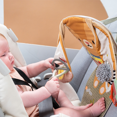3-Bunny-Play-kick-car-toy-3
